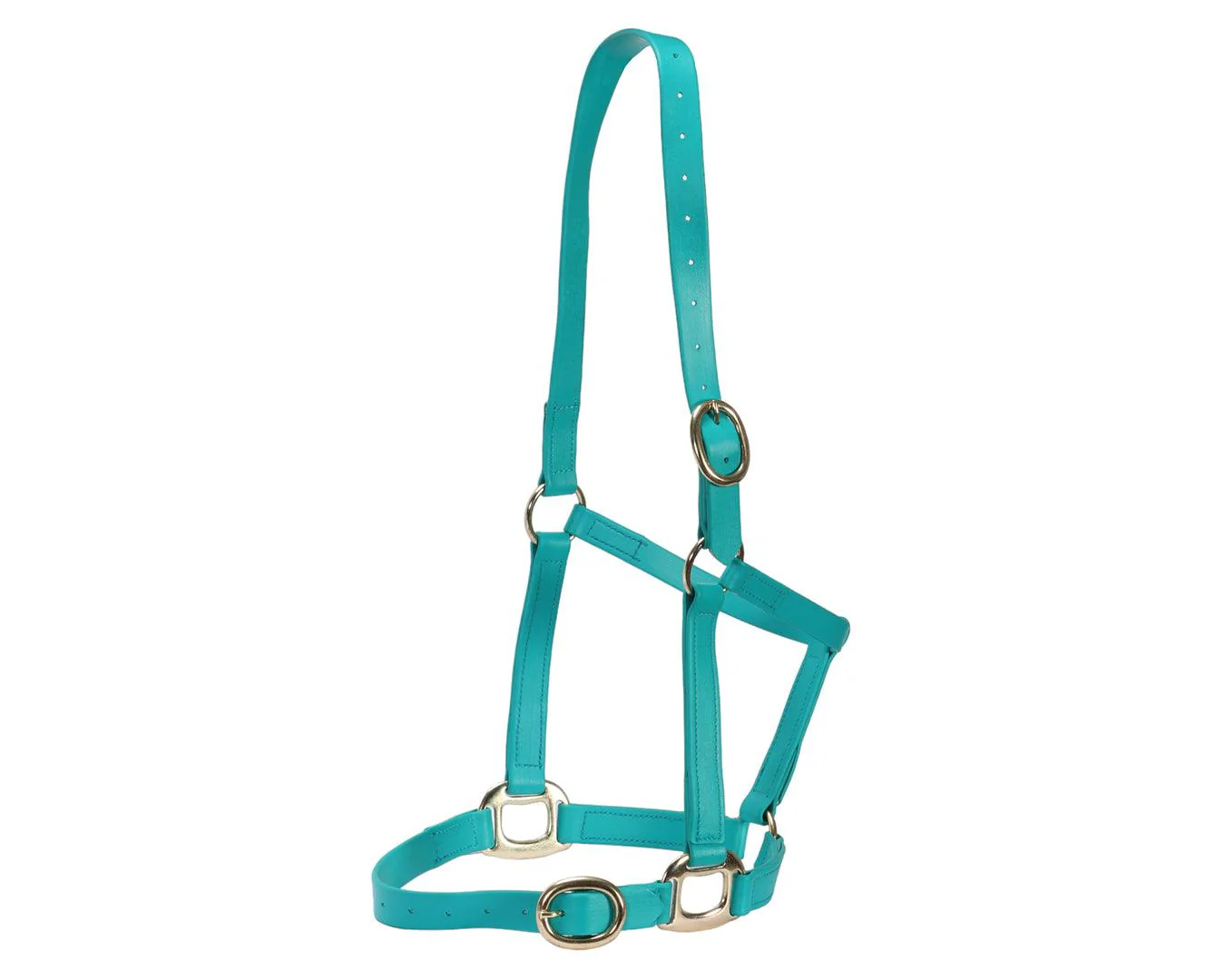 Horse Sense 1" PN Halter Brass - Image 17