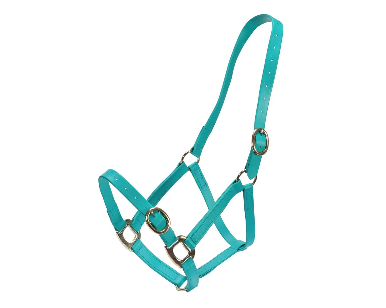 Horse Sense 1" PN Halter Brass - Image 18