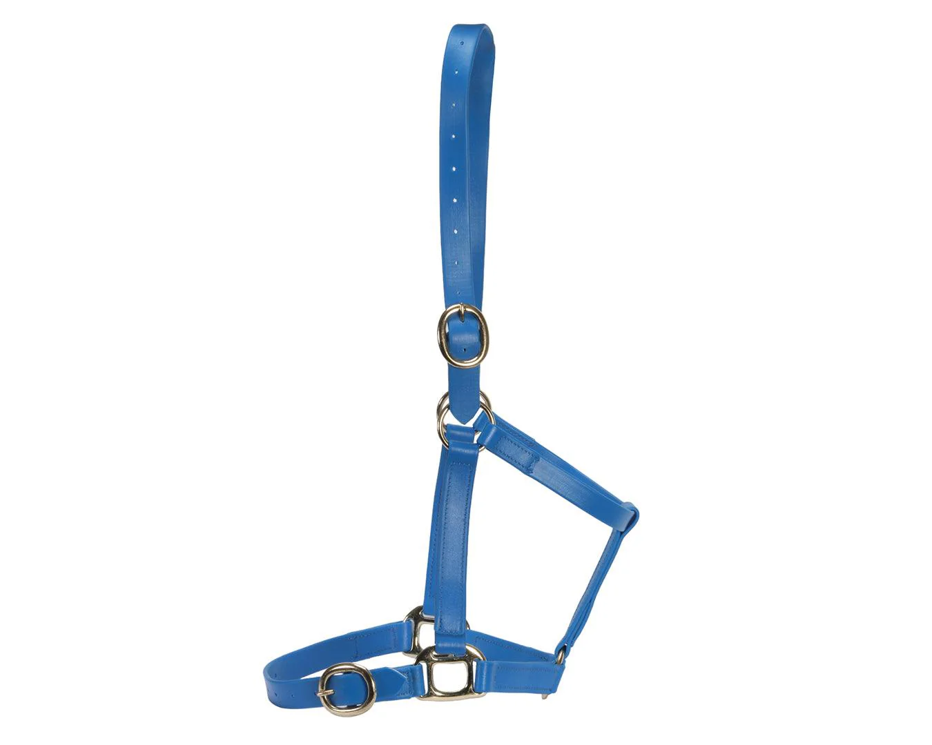 Horse Sense 1" PN Halter Brass - Image 3