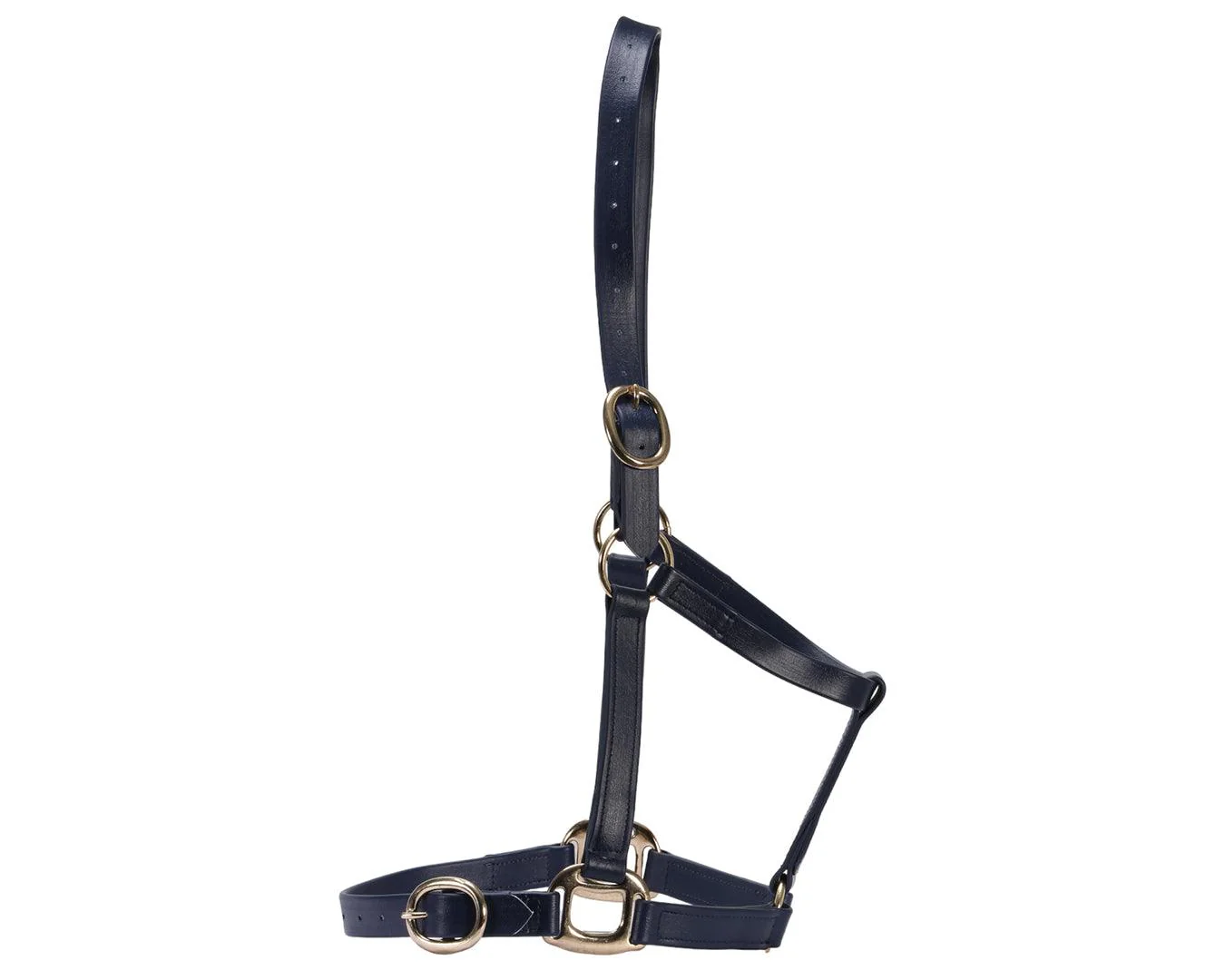 Horse Sense 1" PN Halter Brass - Image 6