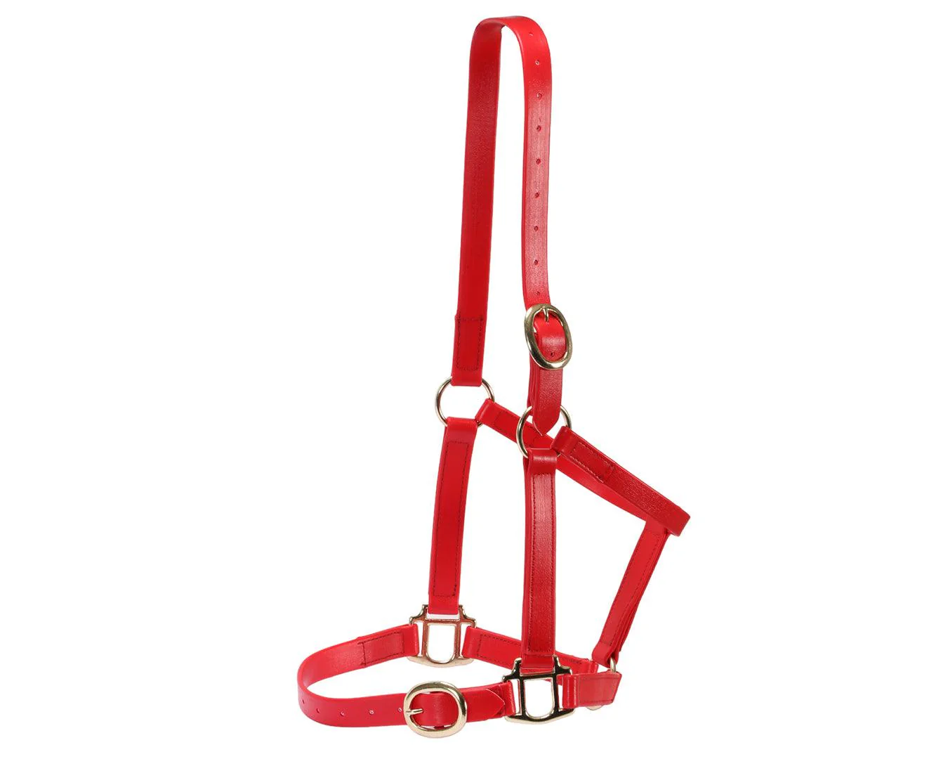 Horse Sense 1" PN Halter Brass - Image 7