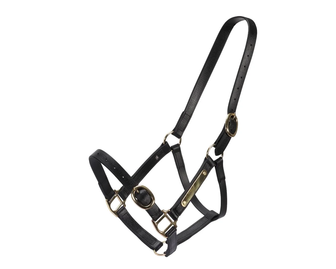 Horse Sense 1" PN Name Plate Halter - Image 11