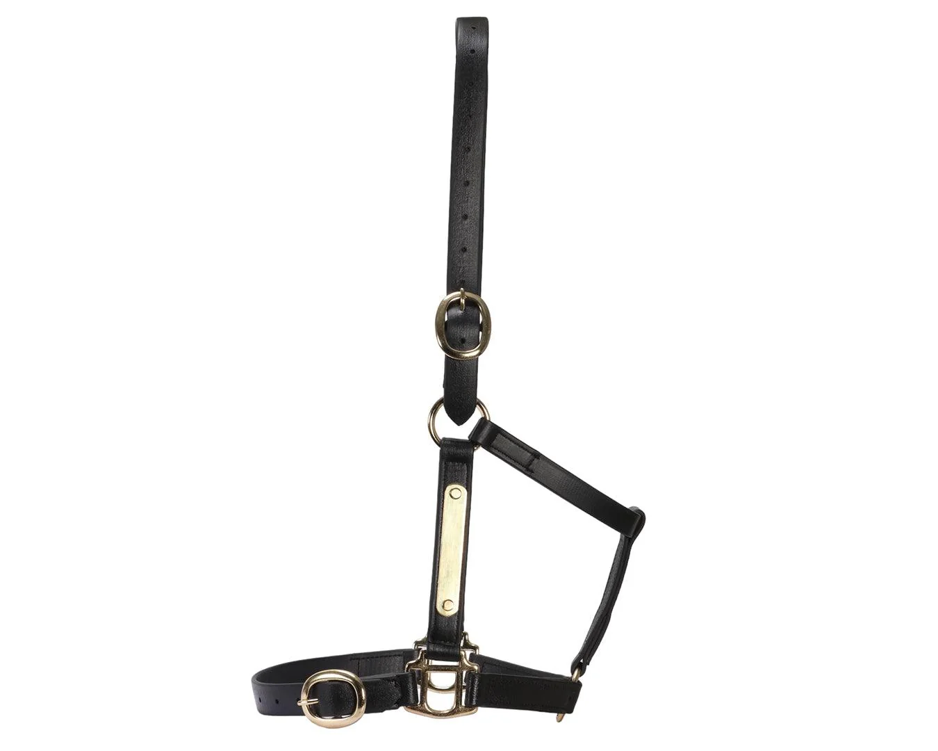 Horse Sense 1" PN Name Plate Halter - Image 12