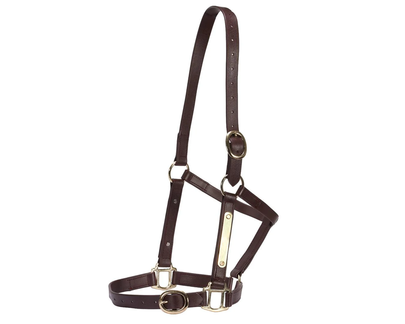 Horse Sense 1" PN Name Plate Halter - Image 13