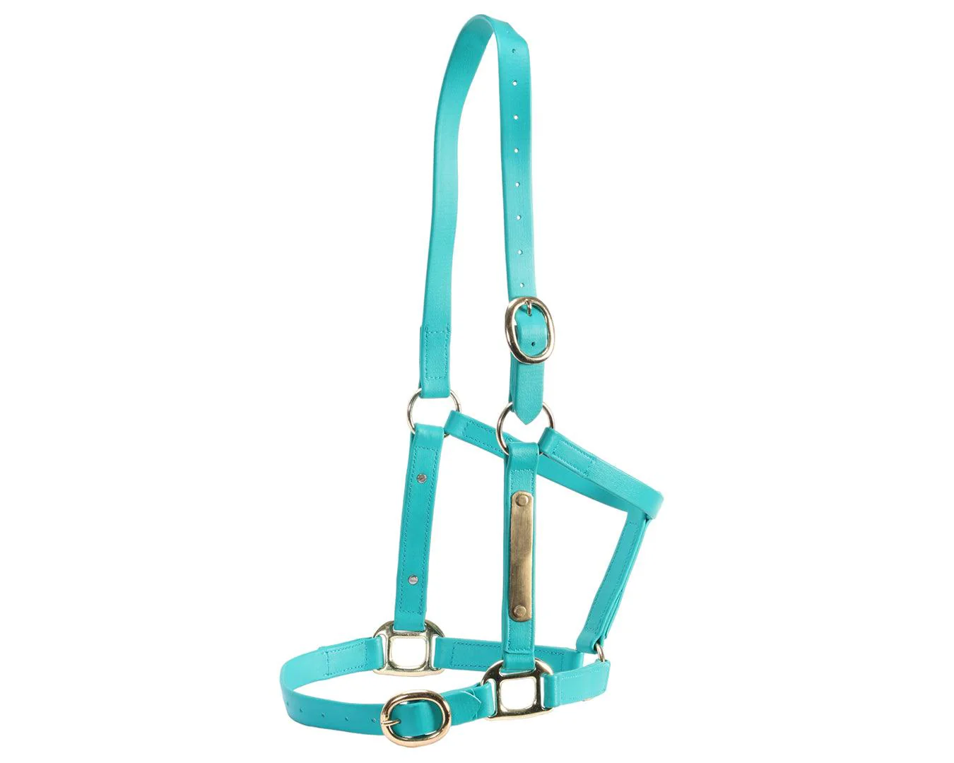 Horse Sense 1" PN Name Plate Halter - Image 16