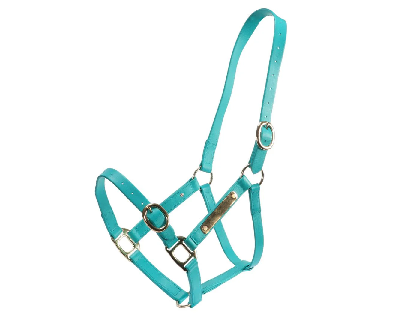 Horse Sense 1" PN Name Plate Halter - Image 17