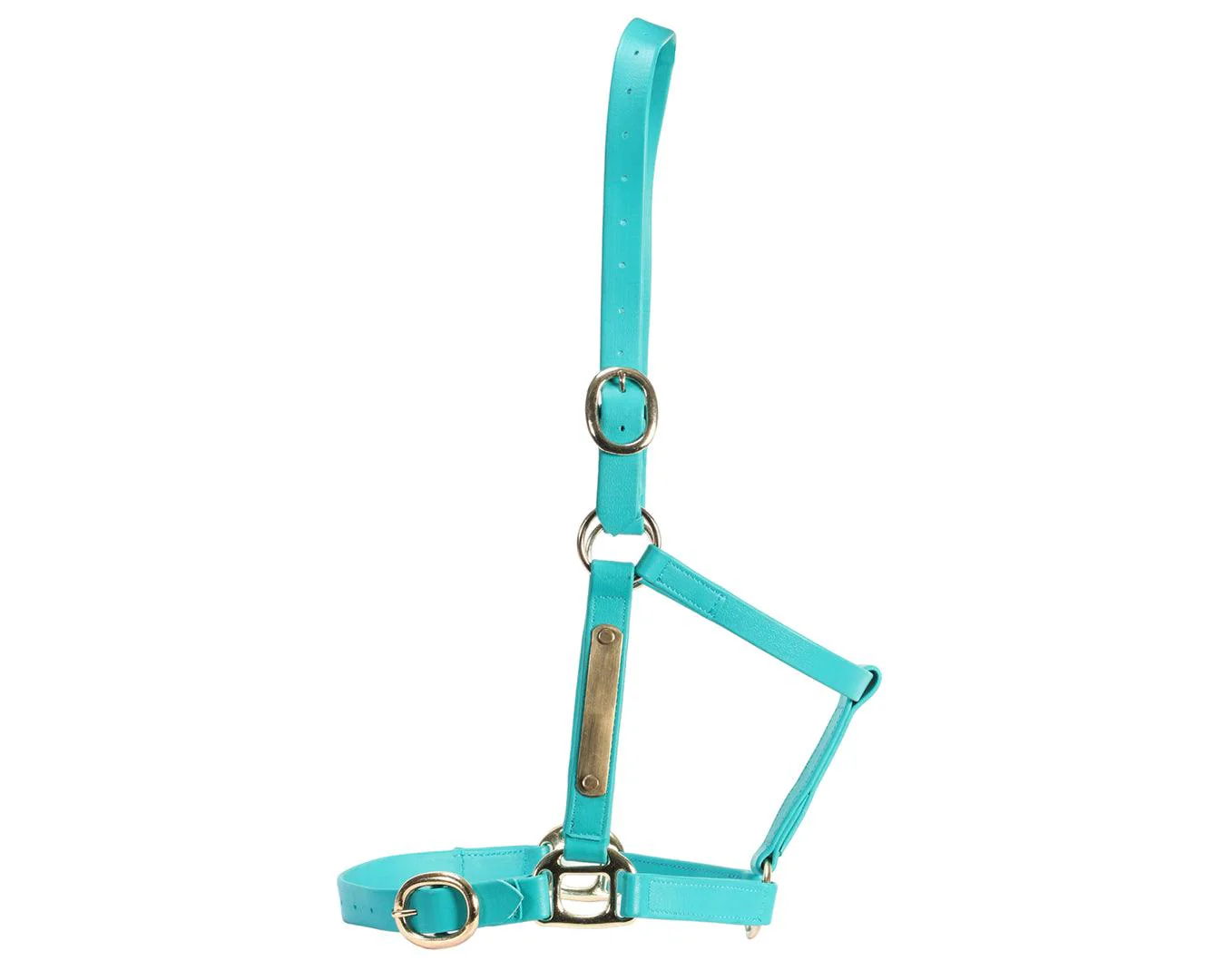 Horse Sense 1" PN Name Plate Halter - Image 18