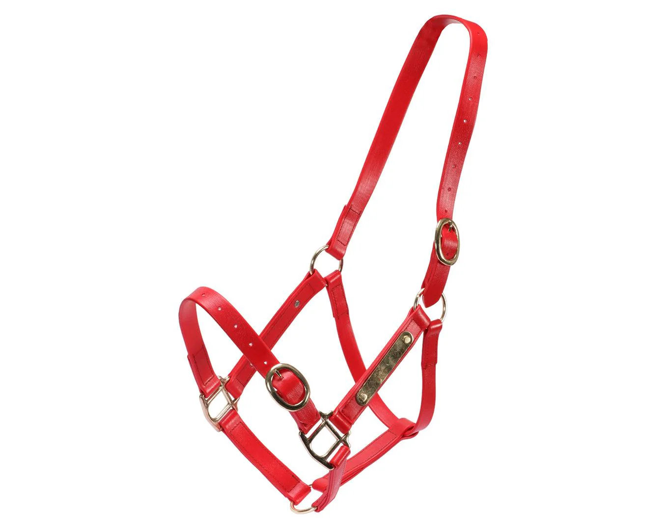 Horse Sense 1" PN Name Plate Halter - Image 8