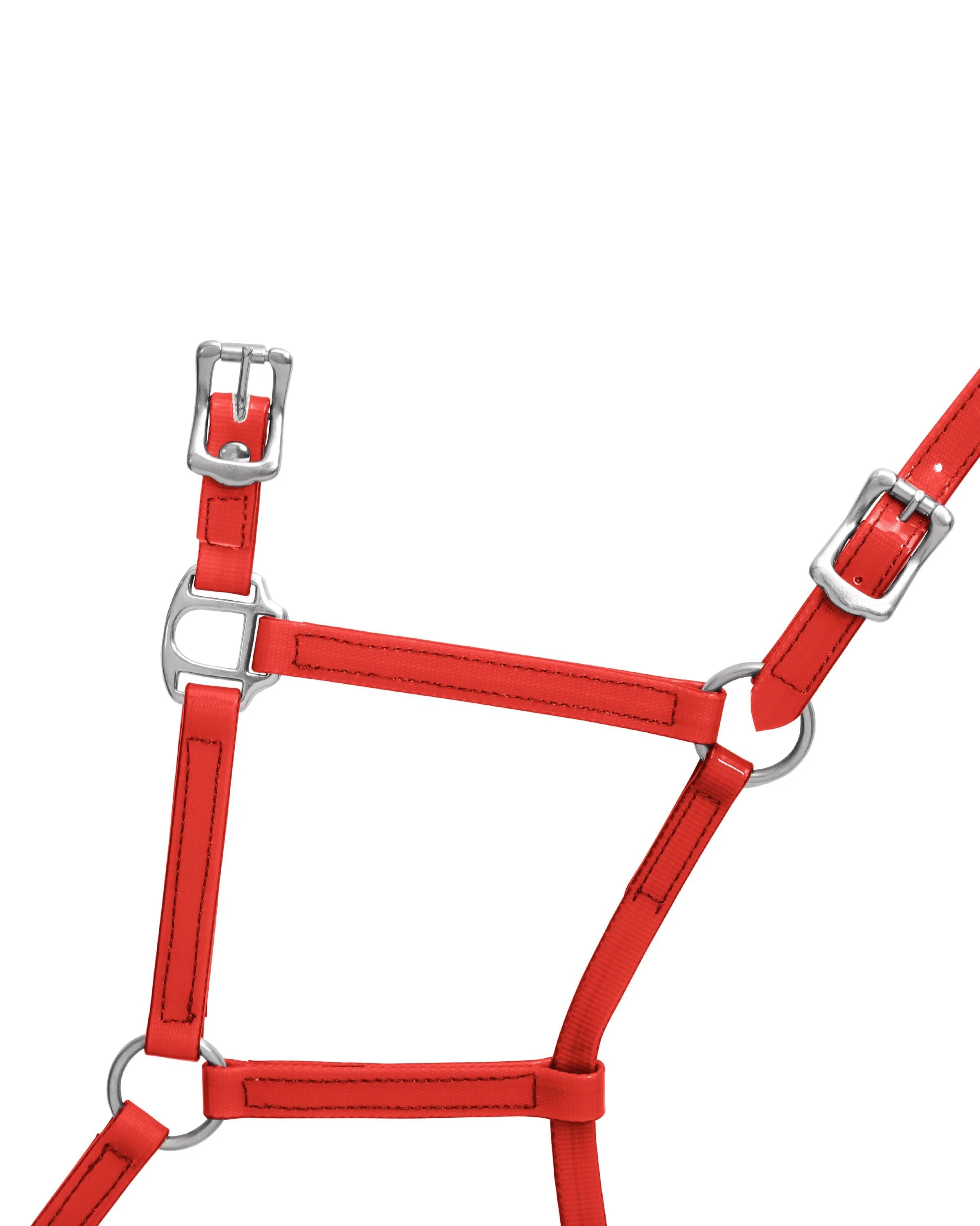 Horse Sense 19mm Buckle Halter - Image 17