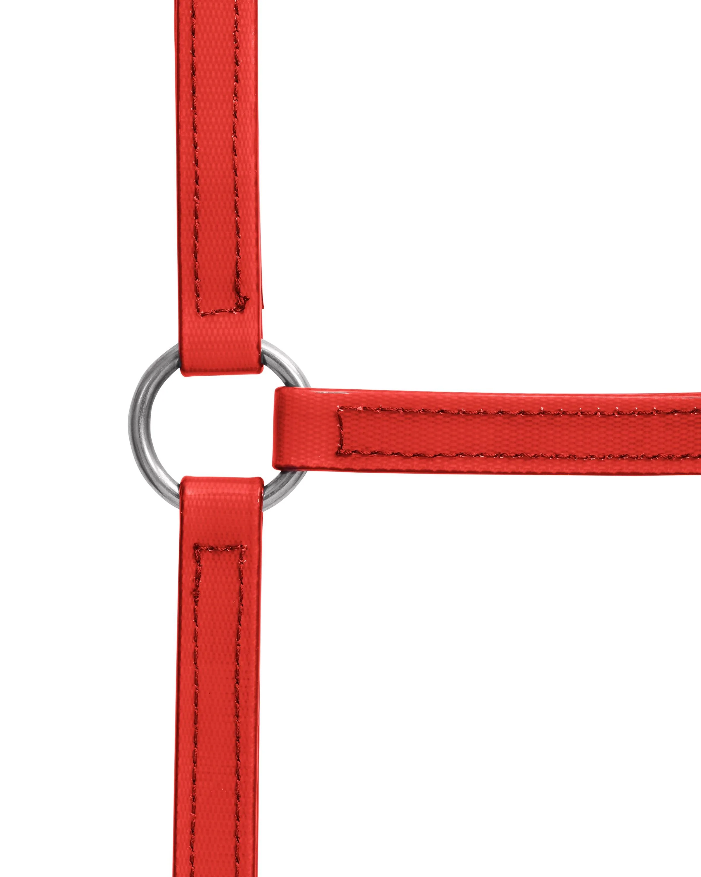 Horse Sense 19mm Buckle Halter - Image 20