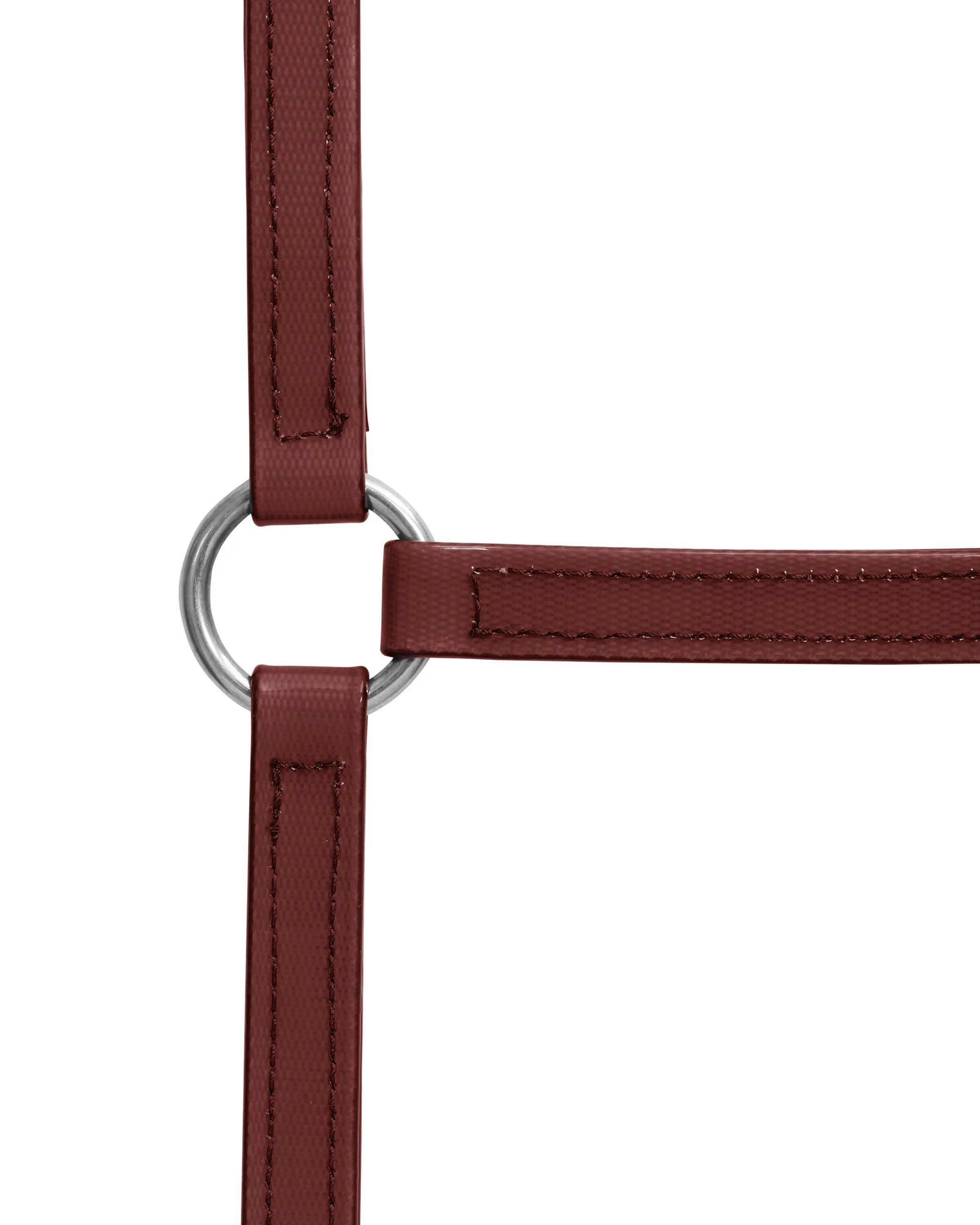 Horse Sense 19mm Buckle Halter - Image 30