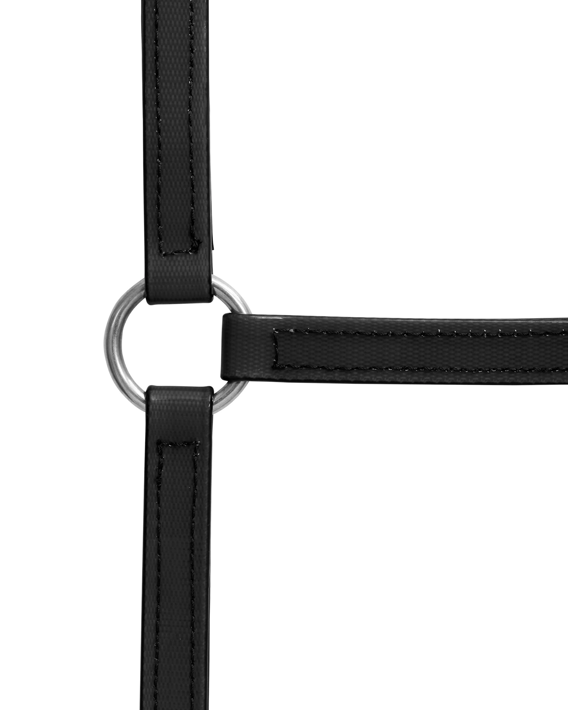 Horse Sense 19mm Buckle Halter - Image 5