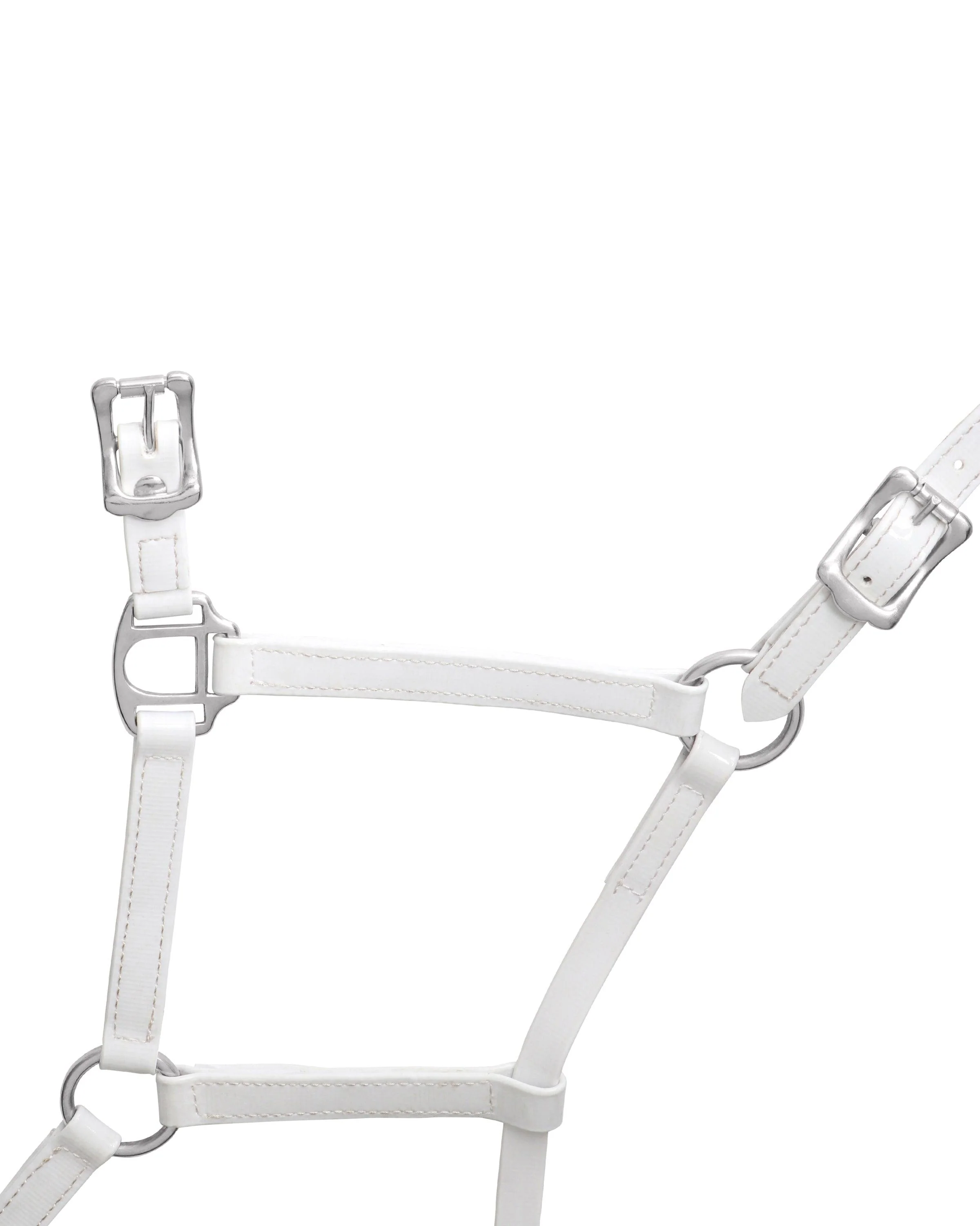 Horse Sense 19mm Buckle Halter - Image 7