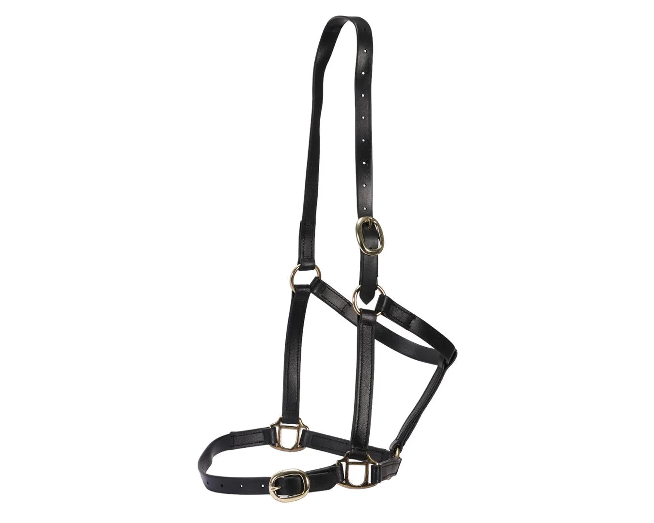Horse Sense 3/4" PN Halter Brass - Image 10