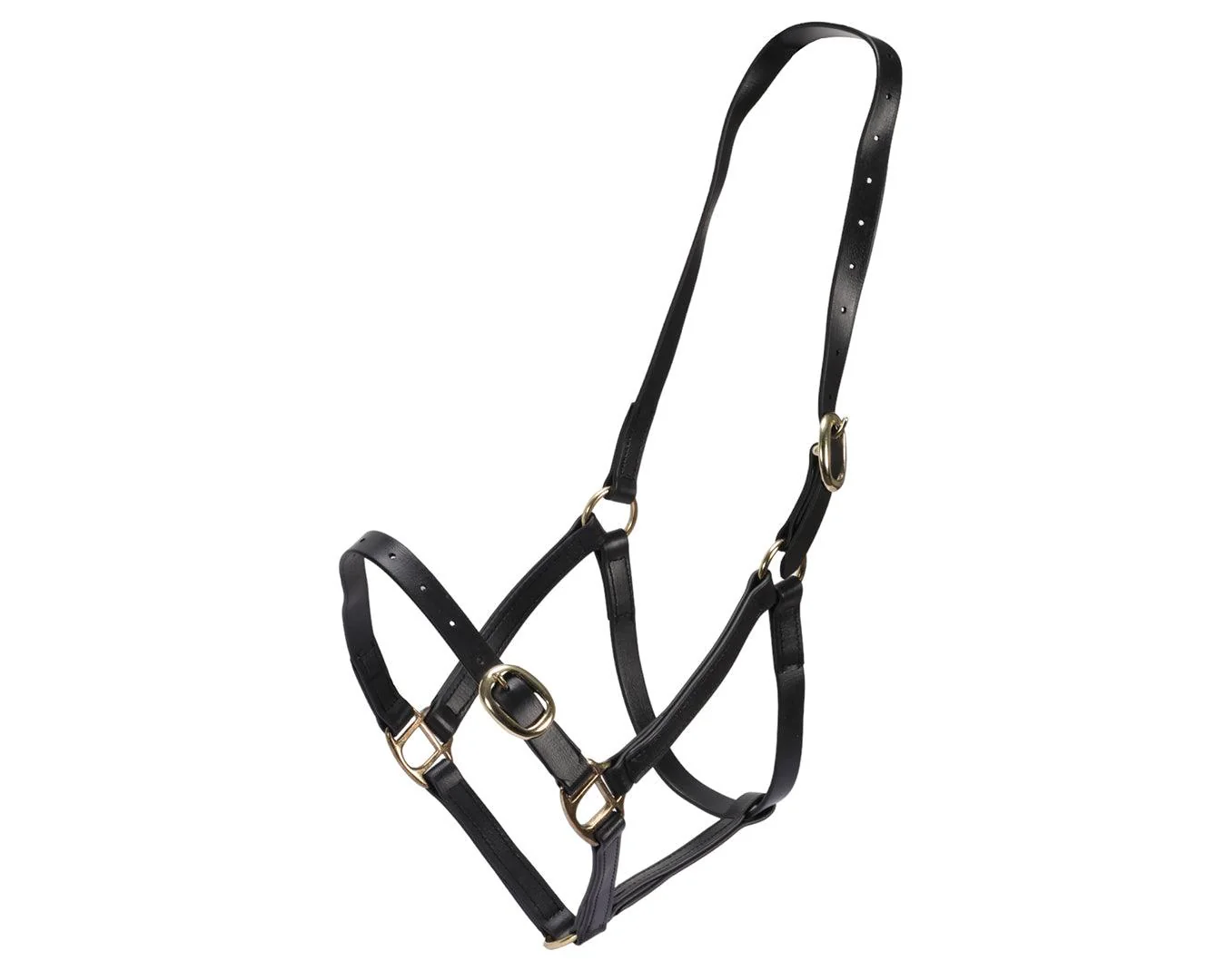 Horse Sense 3/4" PN Halter Brass - Image 11