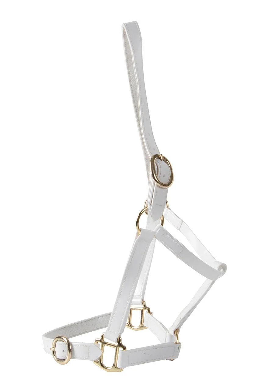 Horse Sense Brass Buckle Halter - Image 6