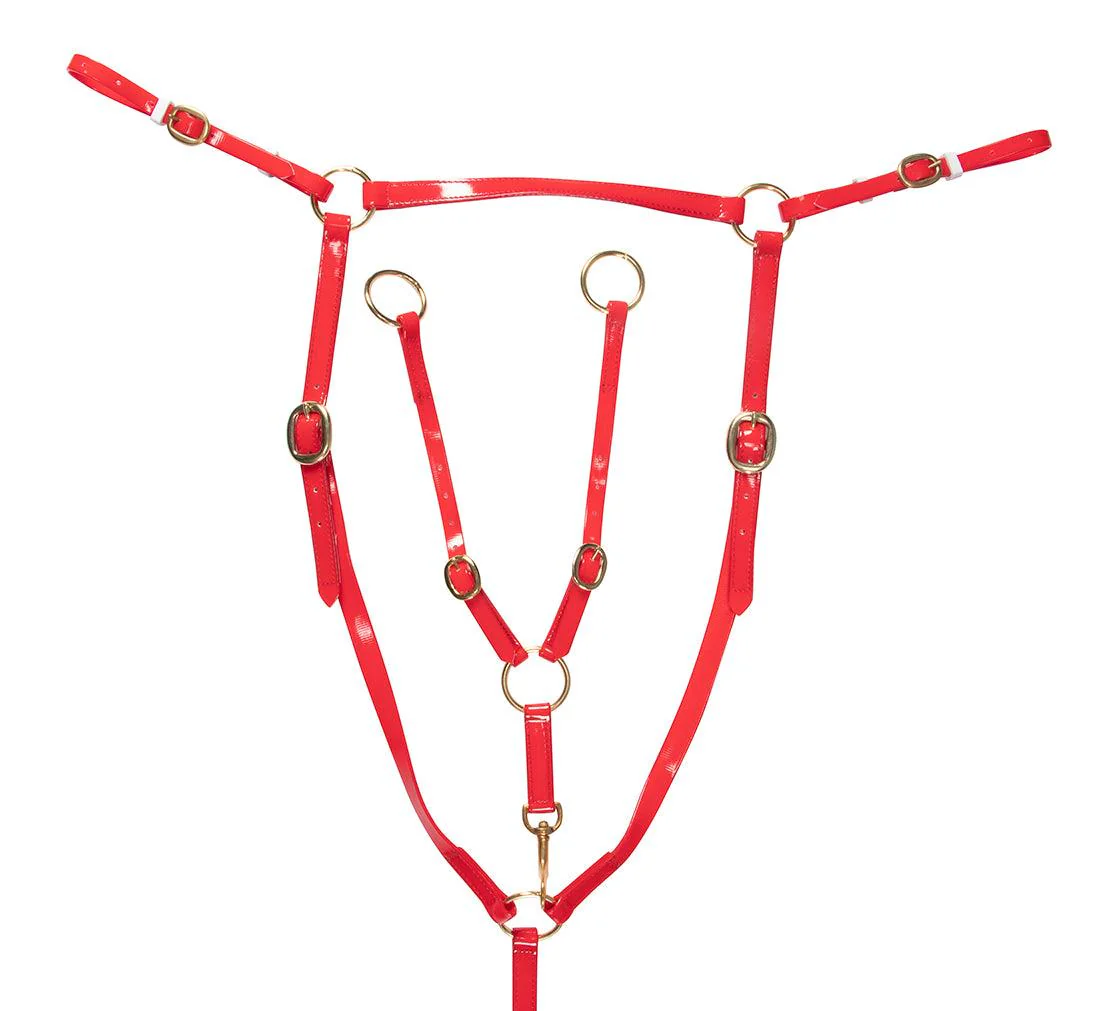 Horse Sense Brass Stockman's Breastplate - Image 6