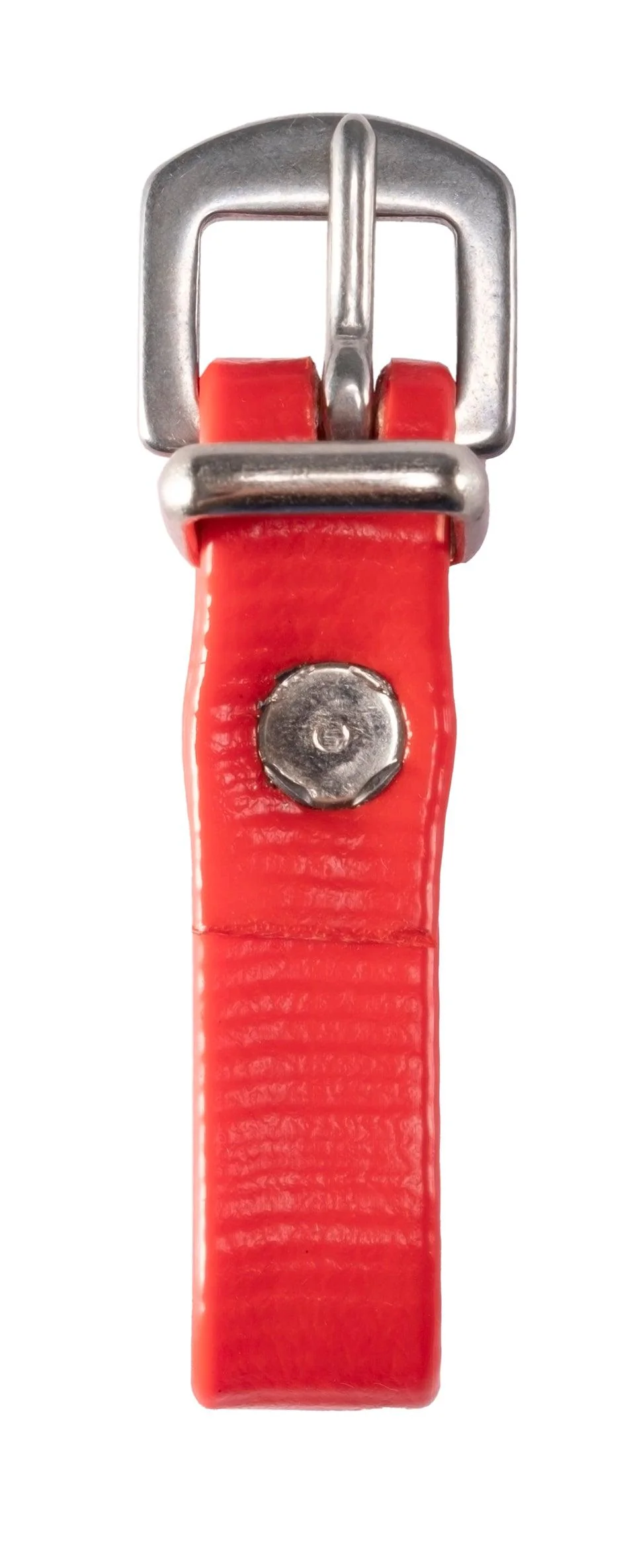 Horse Sense Buckle Attachment - Image 6