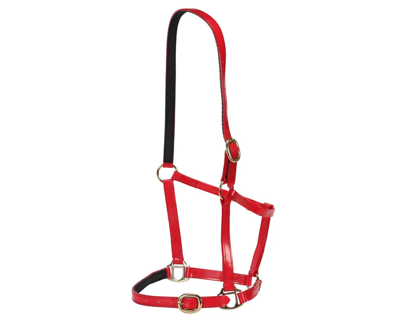Horse Sense Designer Halter - Image 10