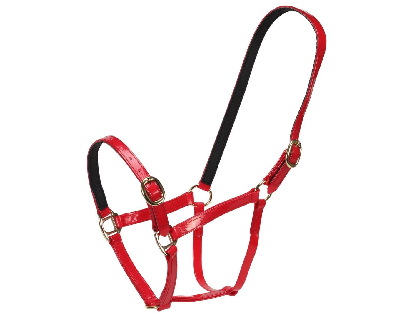 Horse Sense Designer Halter - Image 12
