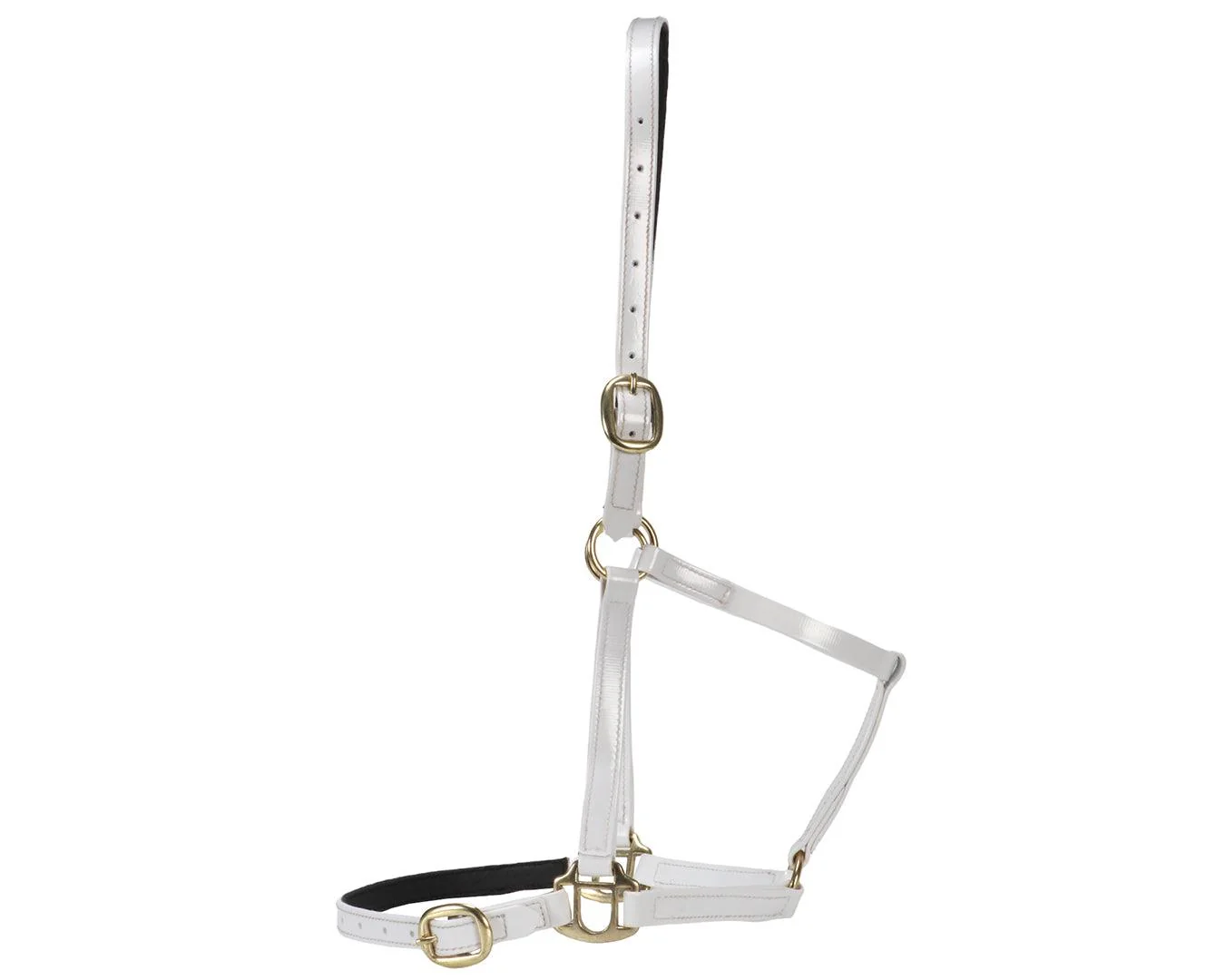 Horse Sense Designer Halter - Image 14