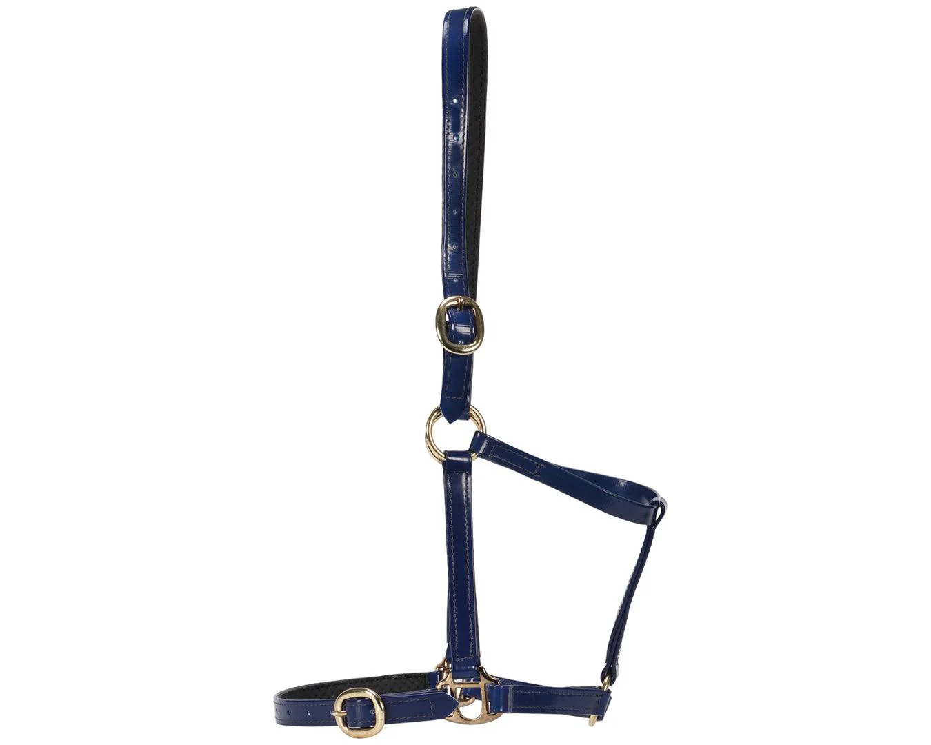 Horse Sense Designer Halter - Image 5