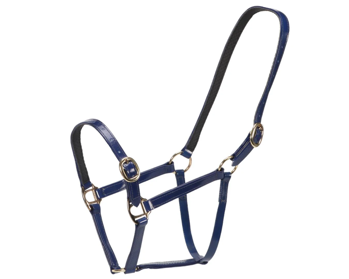 Horse Sense Designer Halter - Image 6