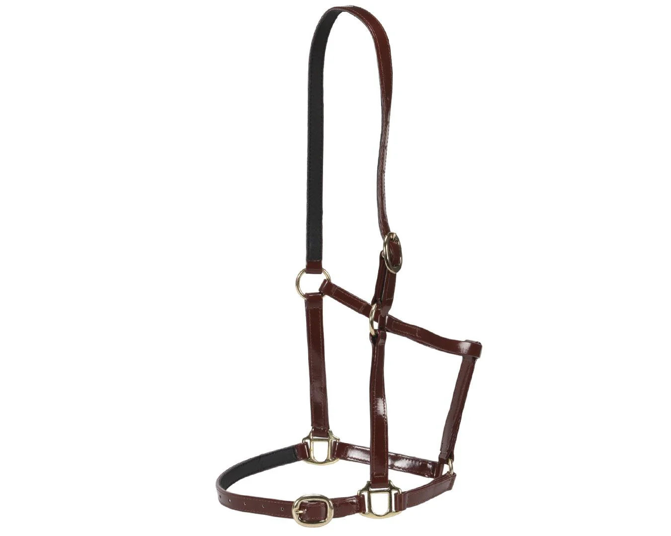Horse Sense Designer Halter - Image 7