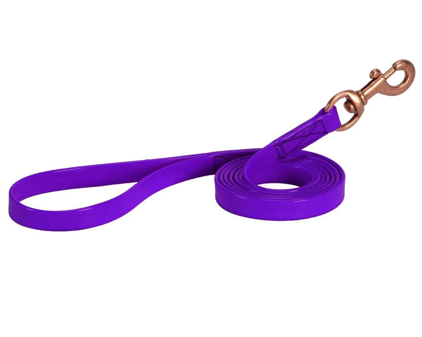 Horse Sense Dog Lead