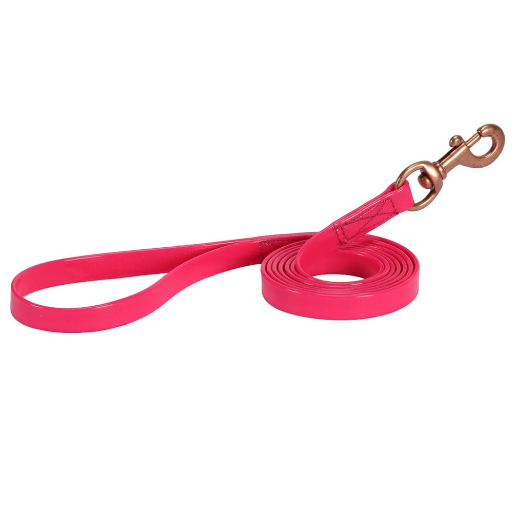 Horse Sense Dog Lead - Image 3