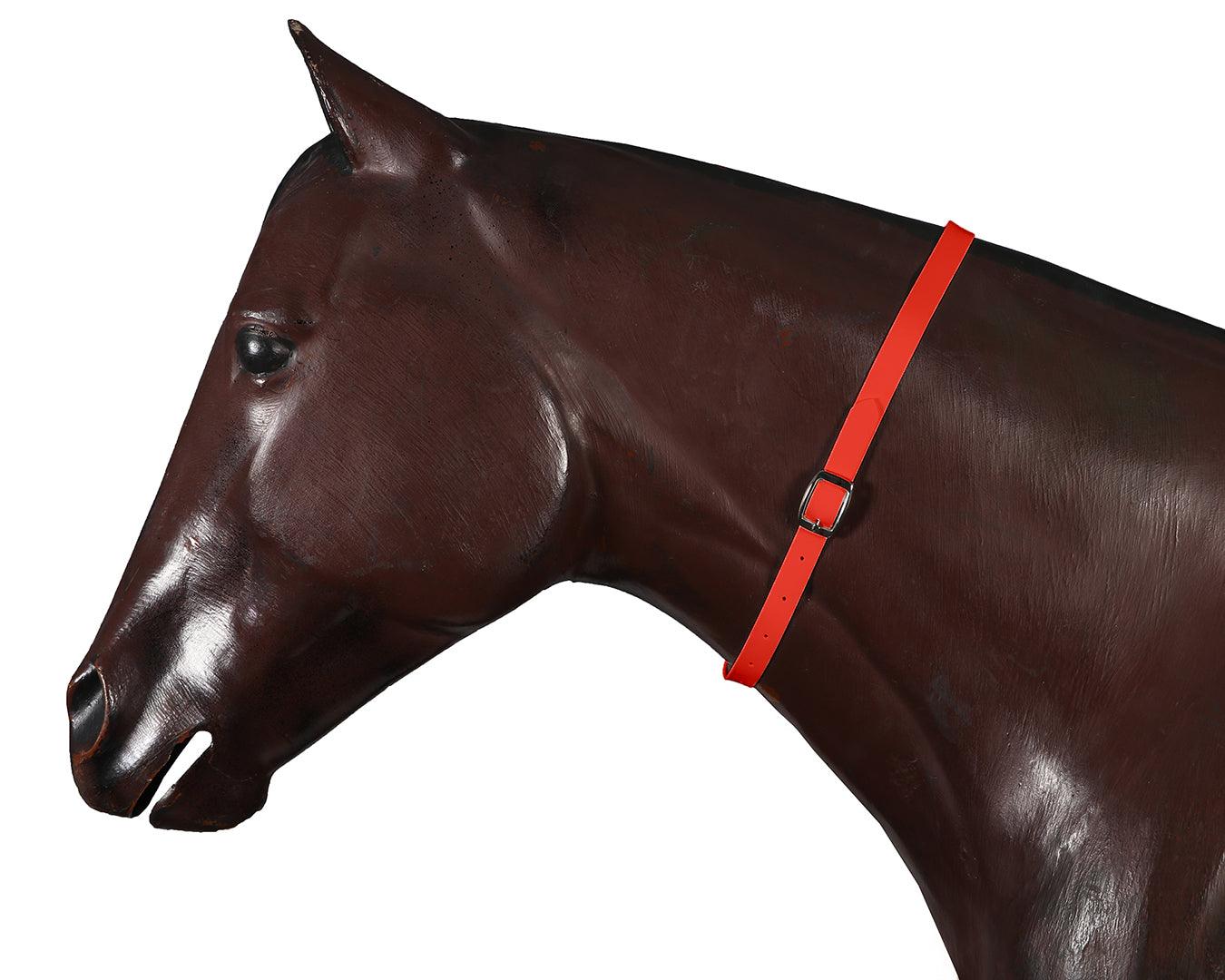 Horse Sense Horse Identity Neck Strap - Image 6