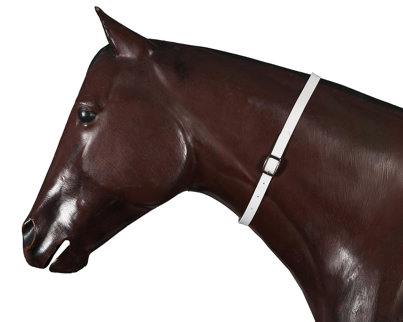 Horse Sense Horse Identity Neck Strap - Image 9