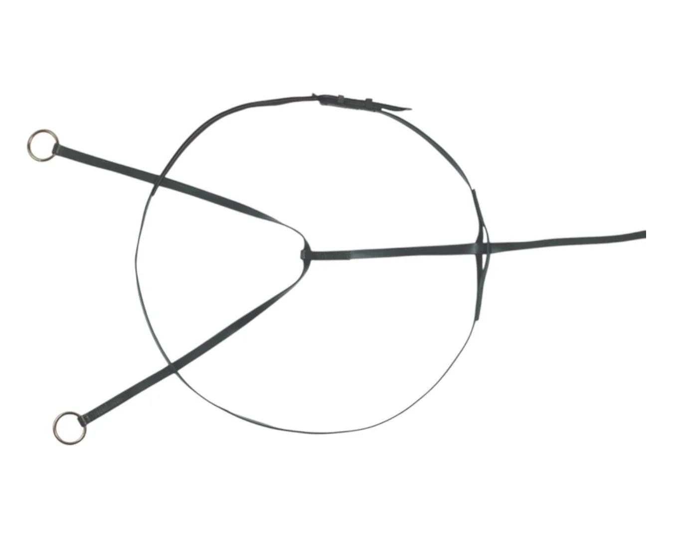 Horse Sense Race Martingale