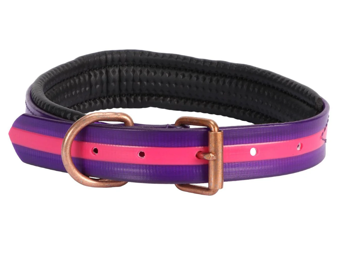 Horse Sense Two Tone Dog Collar - Pink & Purple
