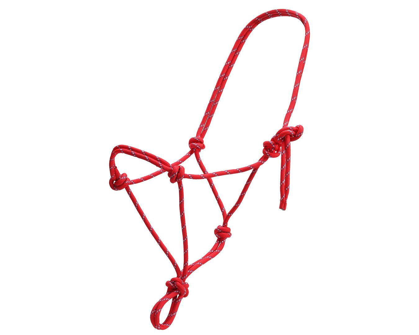 Horsemanship Halter - Image 10