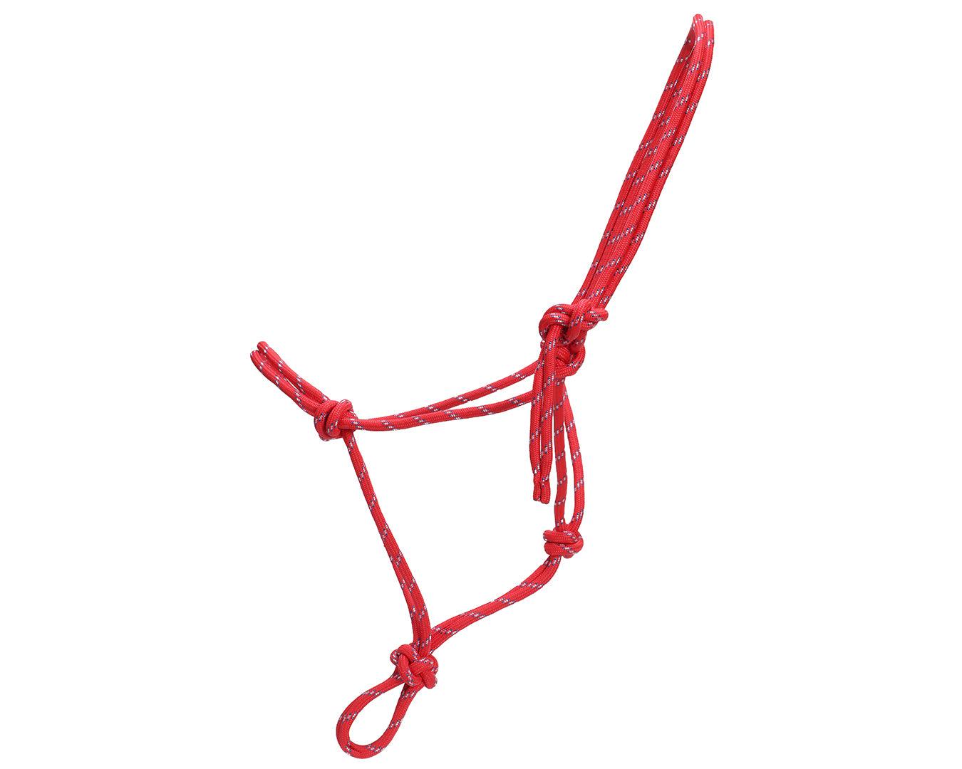 Horsemanship Halter - Image 11