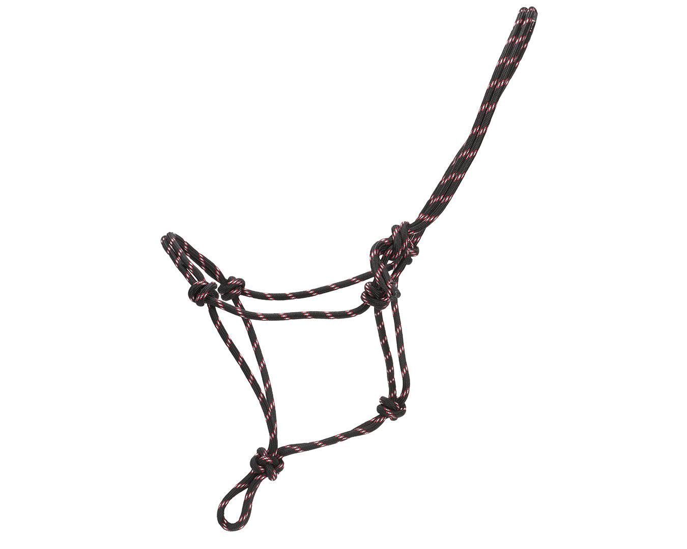 Horsemanship Halter - Image 3