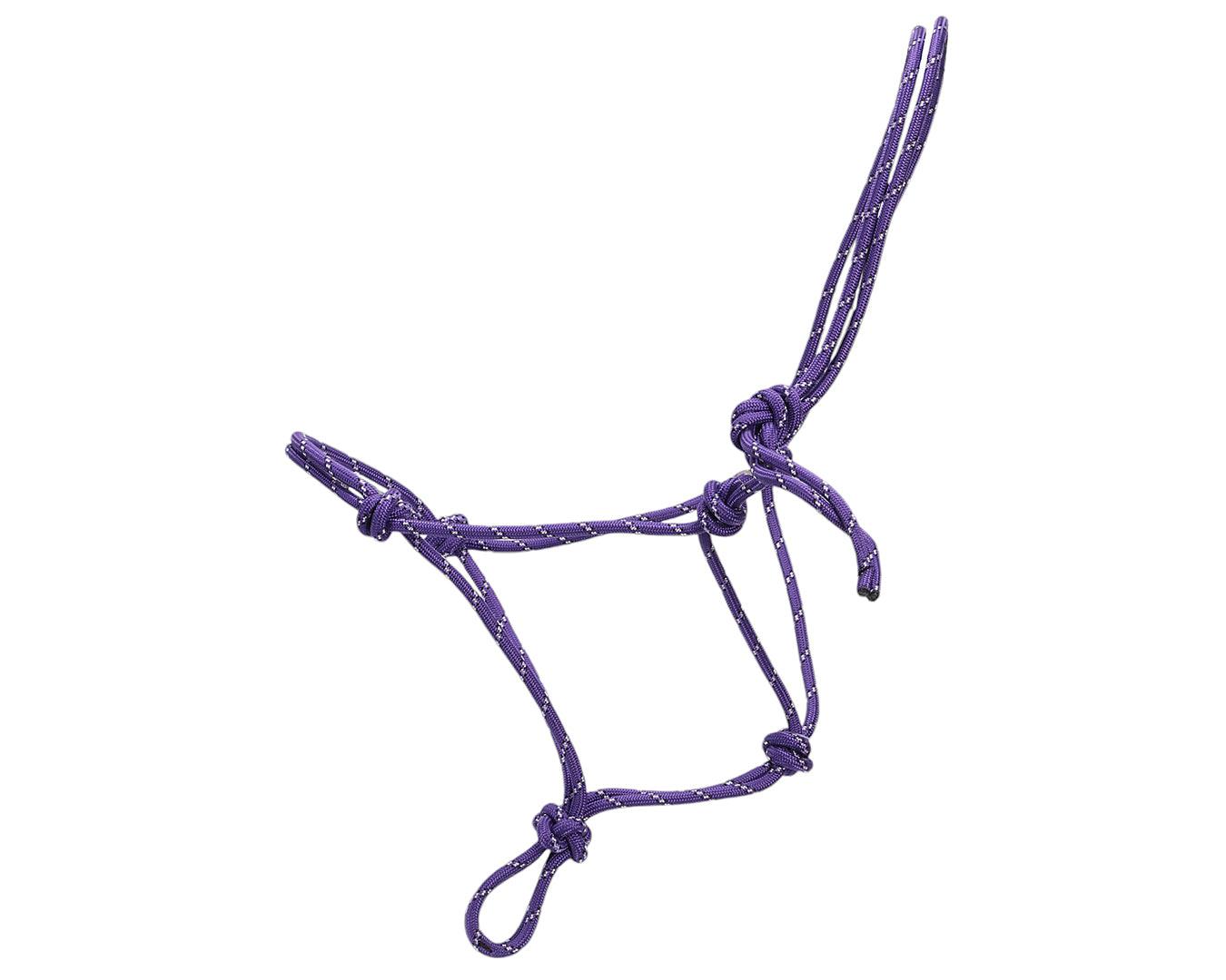 Horsemanship Halter - Image 9