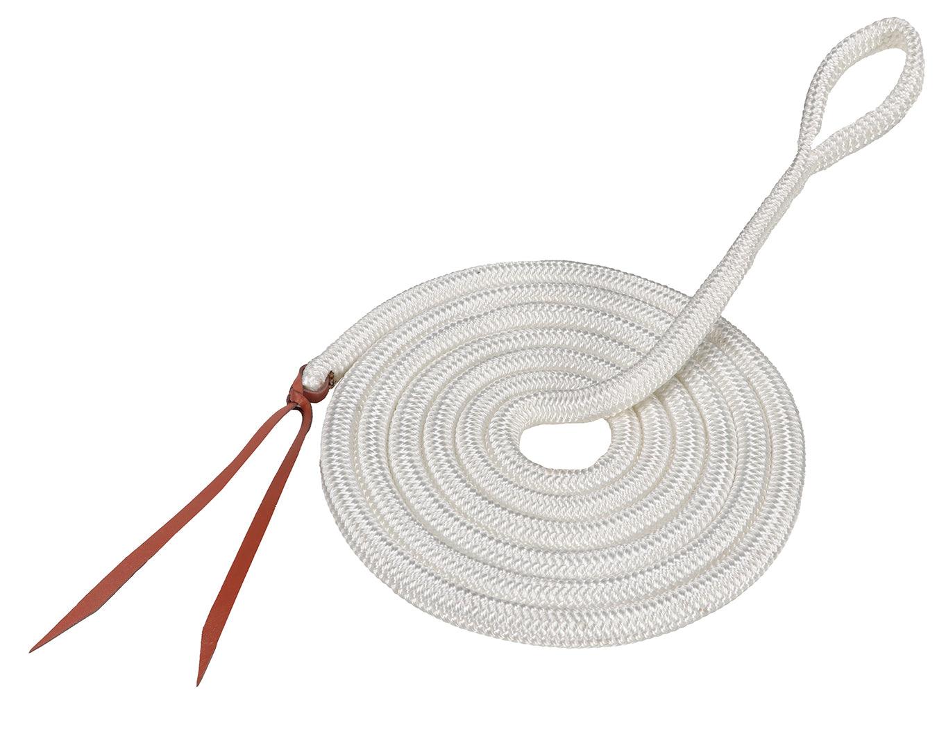 Horsemanship Training Lead No Snaphook