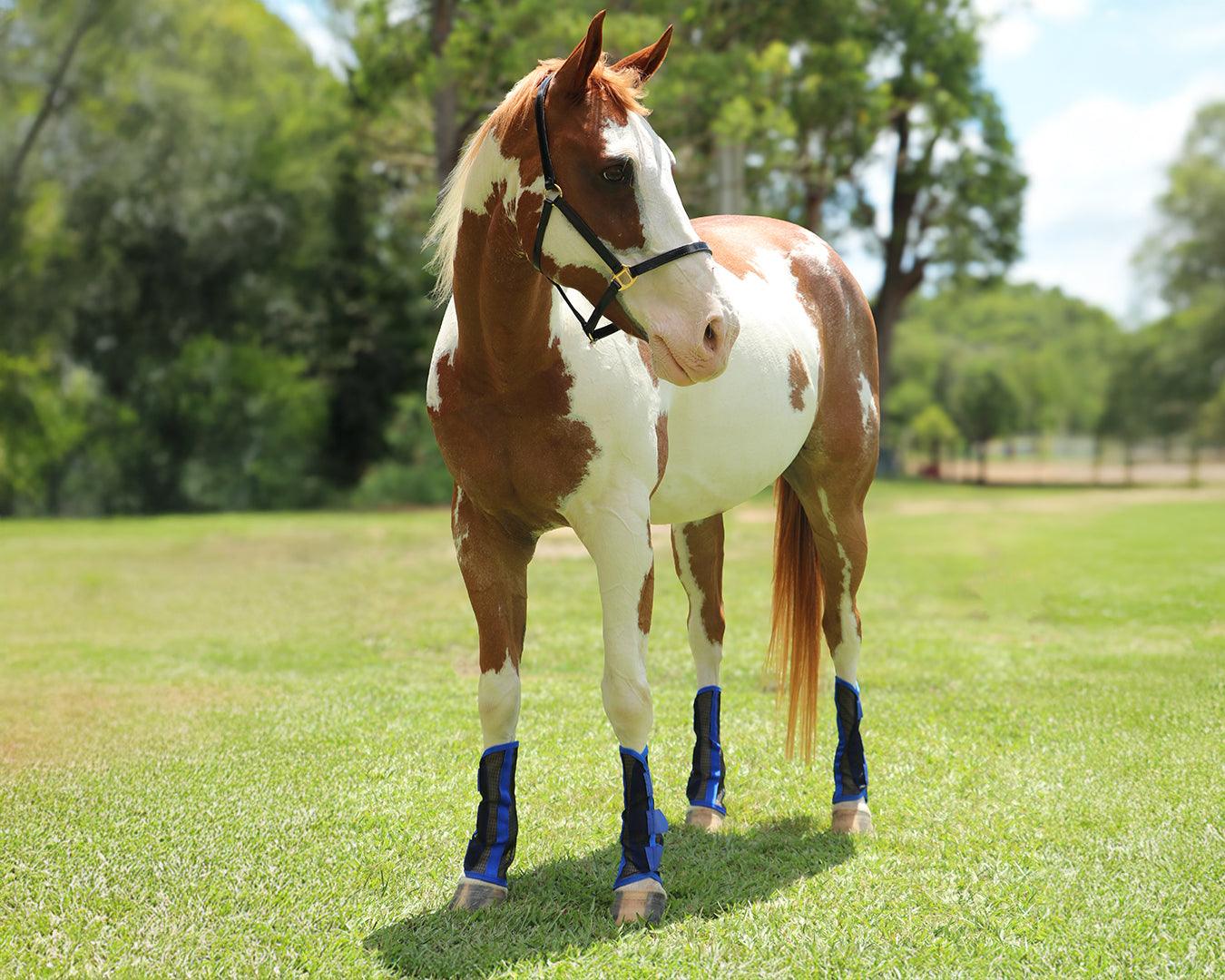 Horsemaster Ballistic Fly Boots