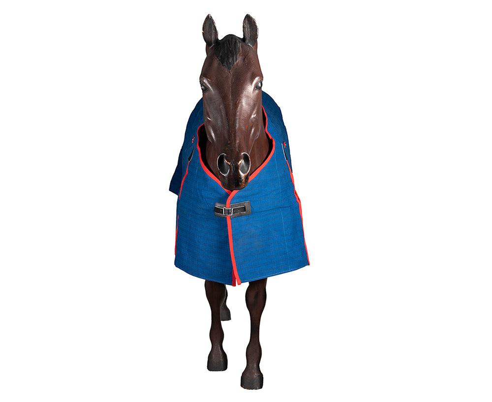 Horsemaster Ripstop Canvas Horse Rug w/Blanket Lining - Image 3