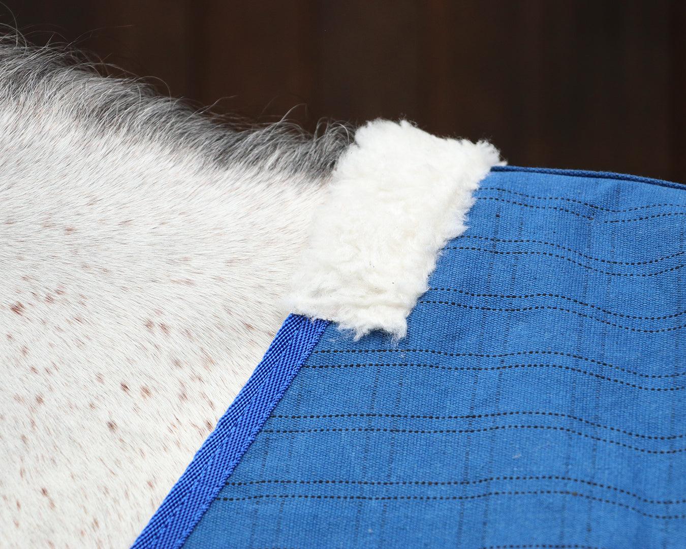 Horsemaster Ripstop Canvas Unlined Horse Rug - Image 4