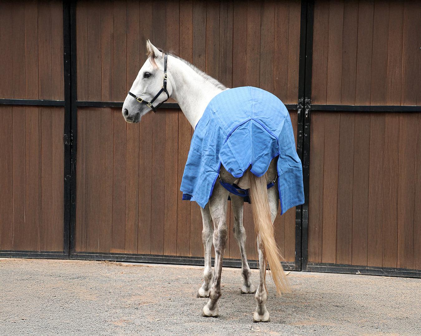 Horsemaster Ripstop Canvas Unlined Horse Rug - Image 5