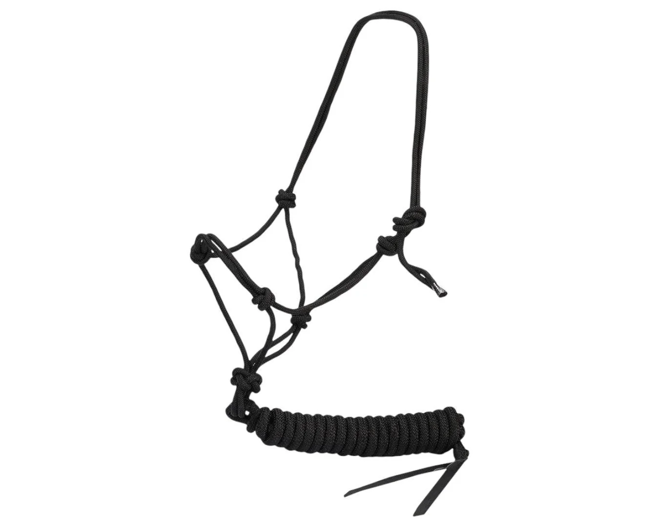 Horsemaster Training Halter & Lead Set