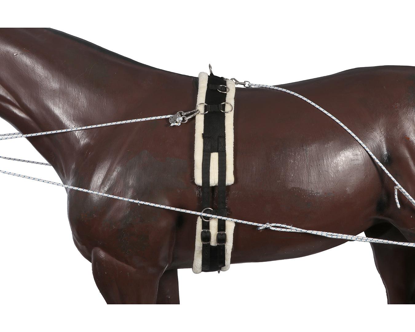 Horsemaster Training System - Image 3