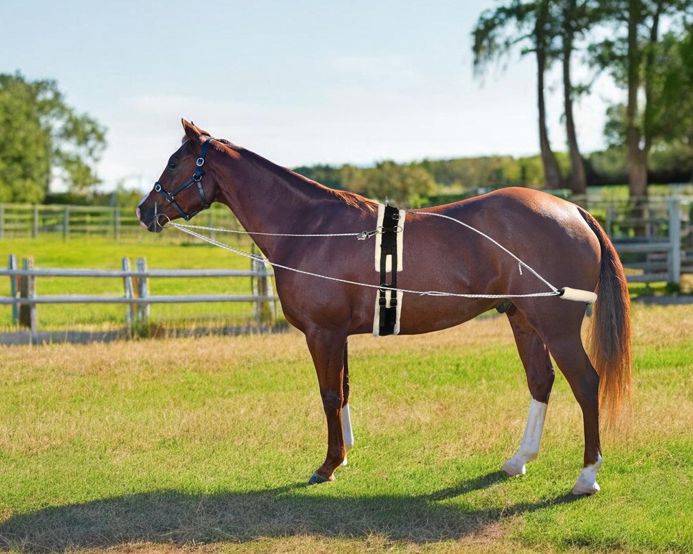 Horsemaster Training System - Image 6