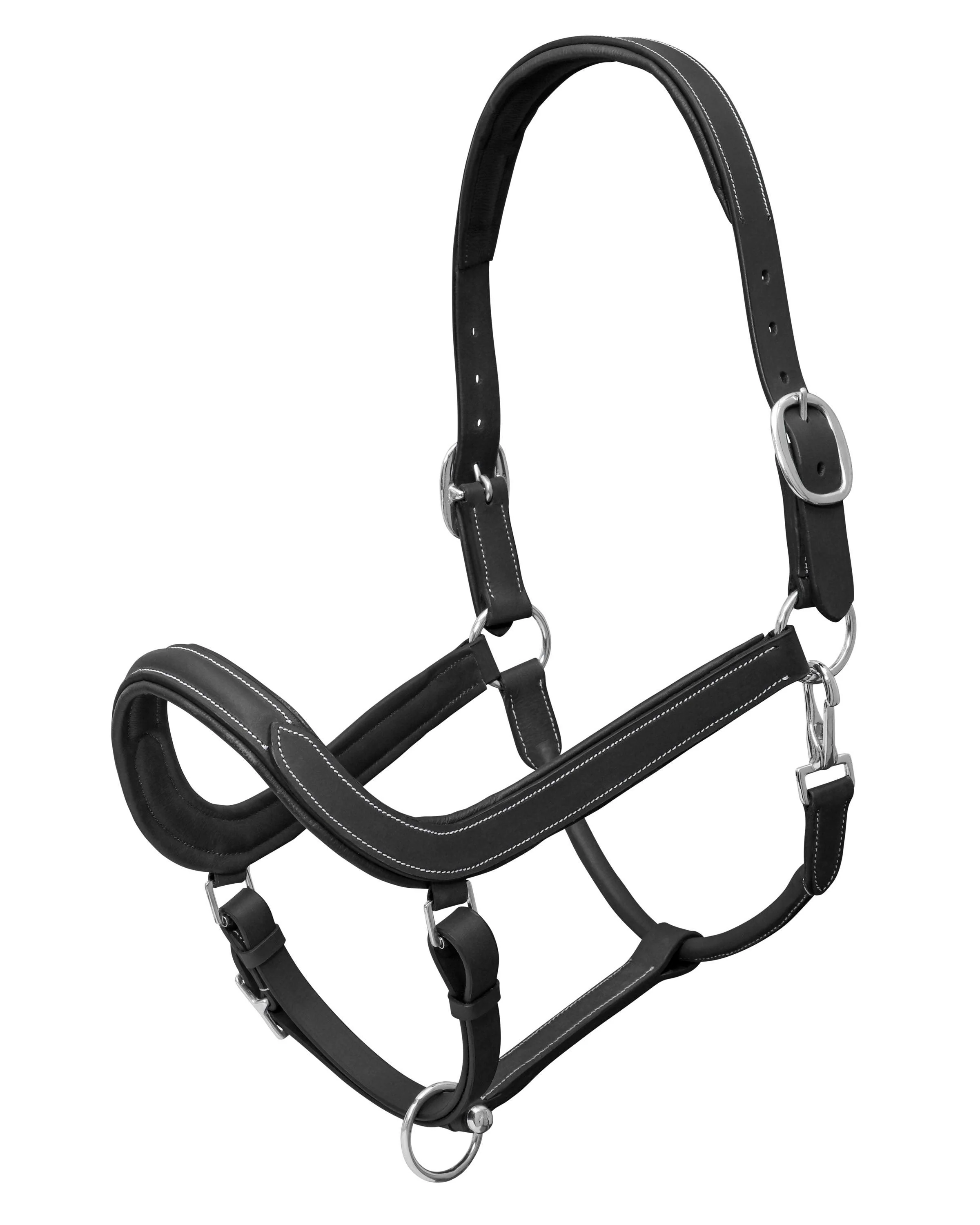 Jeremy & Lord Comfort Halter