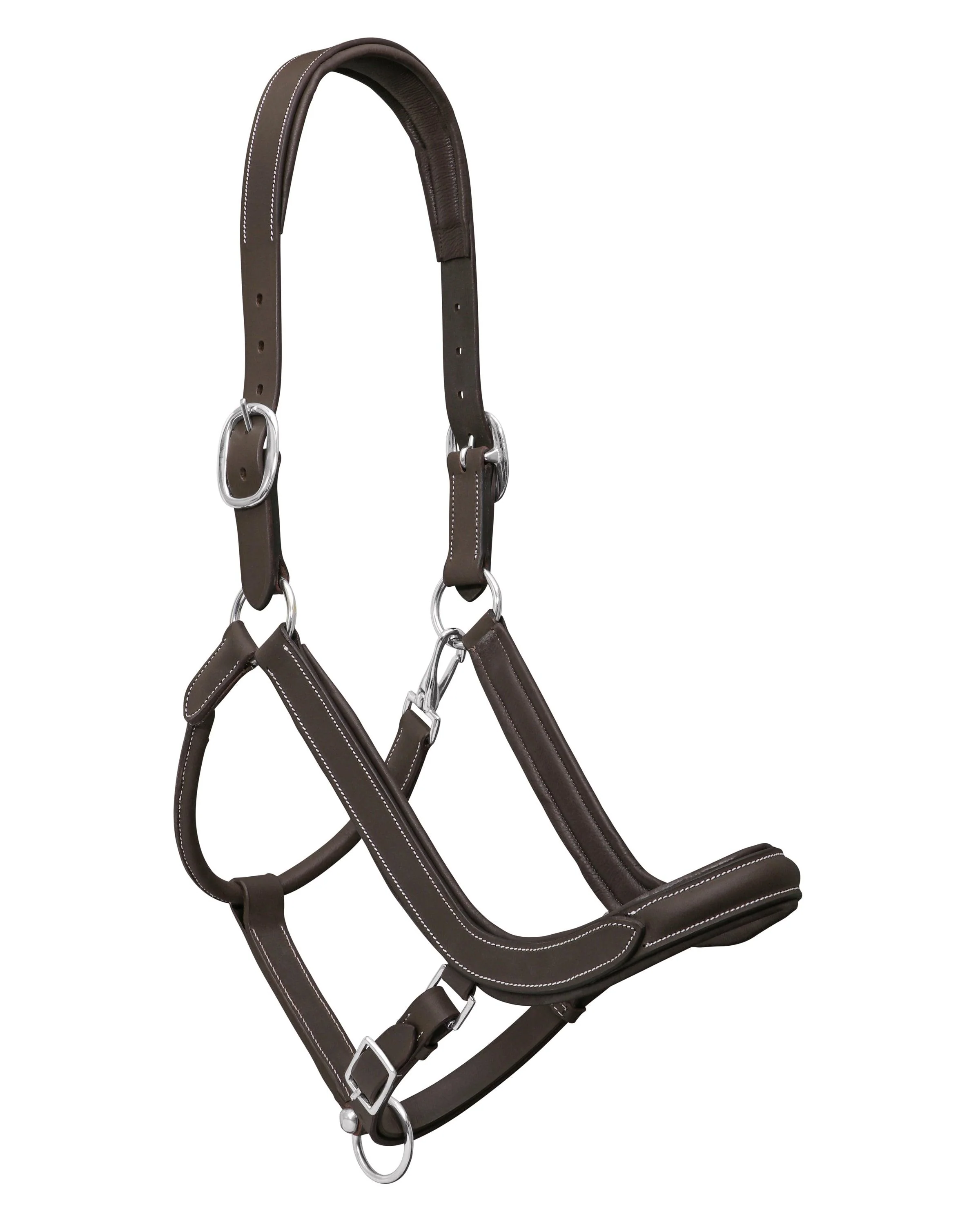 Jeremy & Lord Comfort Halter - Image 7