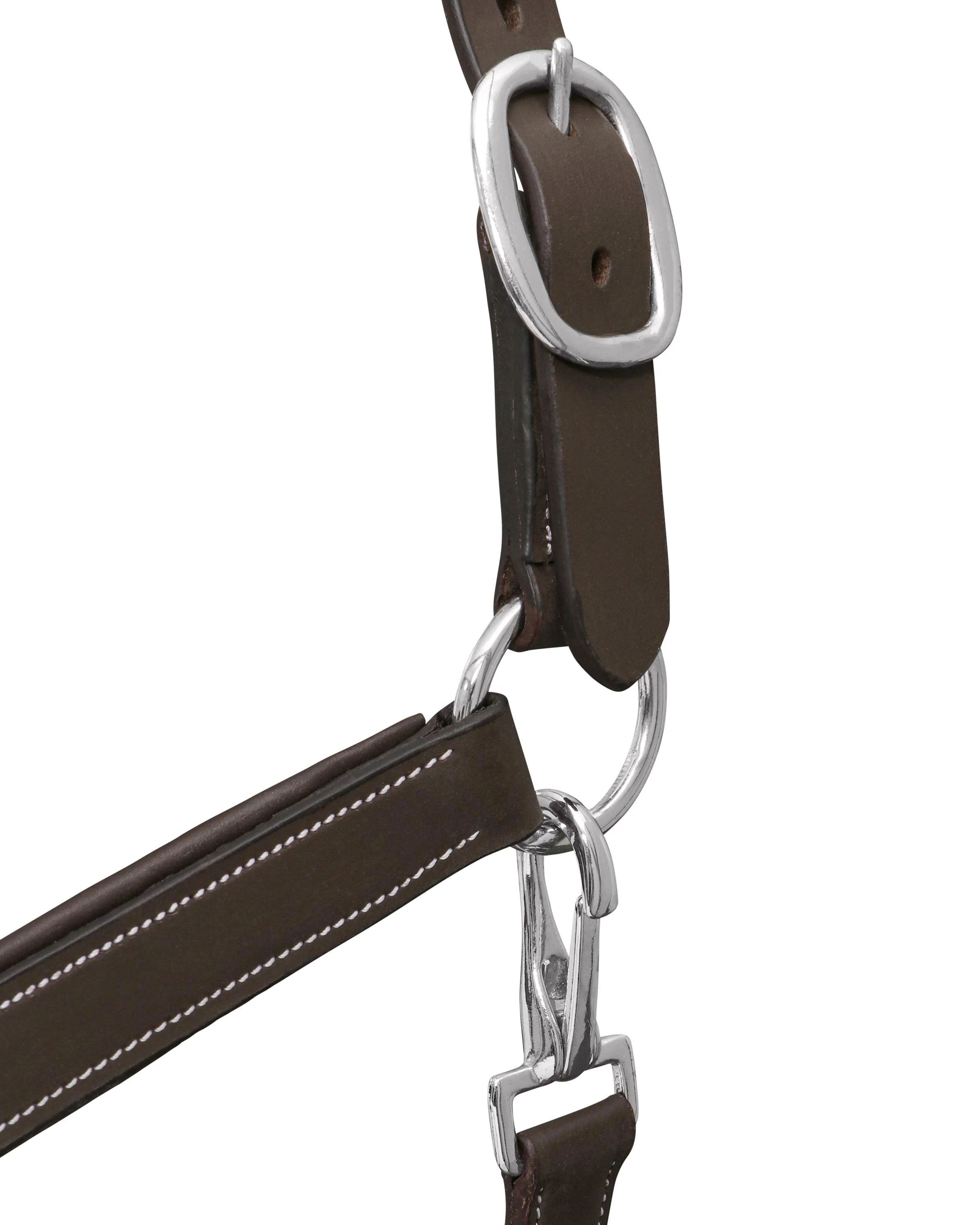 Jeremy & Lord Comfort Halter - Image 8