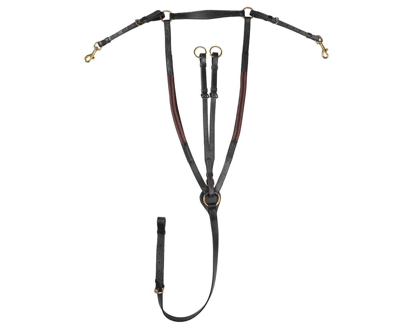 Jeremy & Lord Eventing Martingale